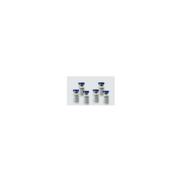 STEP SL-183 High Speed Vial Labeling Machine with turntable