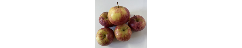 Apples, Solutions for packaging